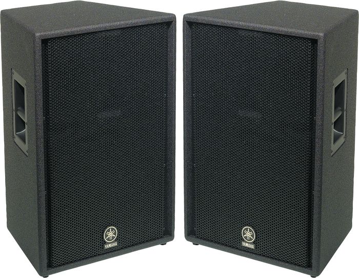 YAMAHA C115V 专业音箱