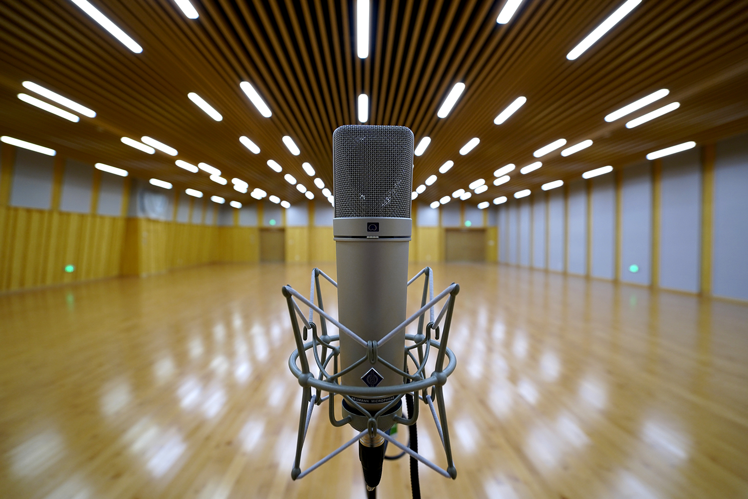 Neumann U87 Ai 大振膜电容麦克风