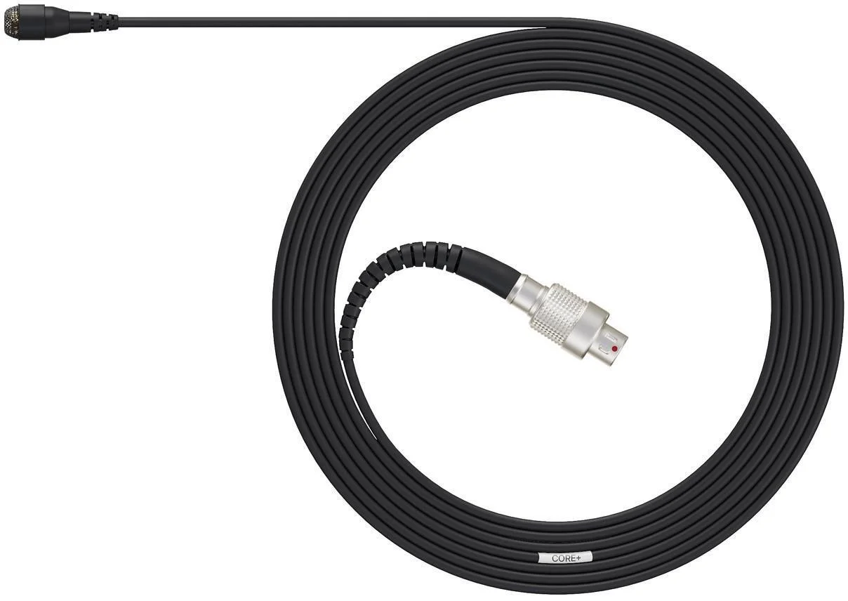 DPA 4061 CORE+ 全指向领夹麦克风，带 LEMO 接头 - 黑色，高声压级