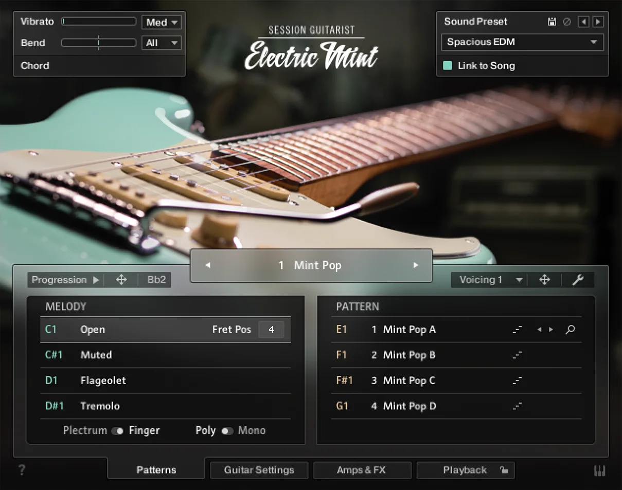 Native Instruments Session Guitarist - Electric Mint 虚拟乐器插件