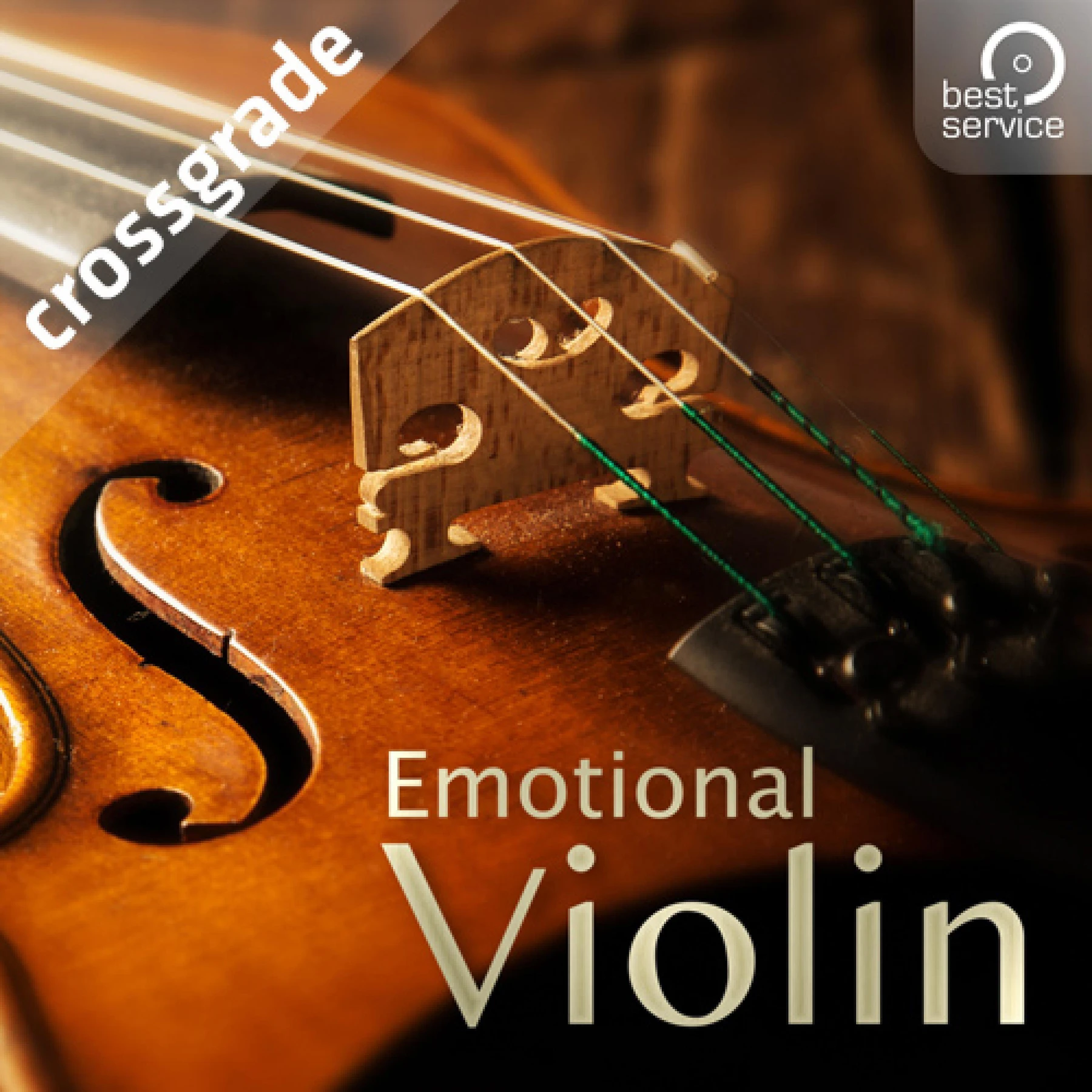 Best Service Emotional Violin - 从 Emotional Cello 升级购买