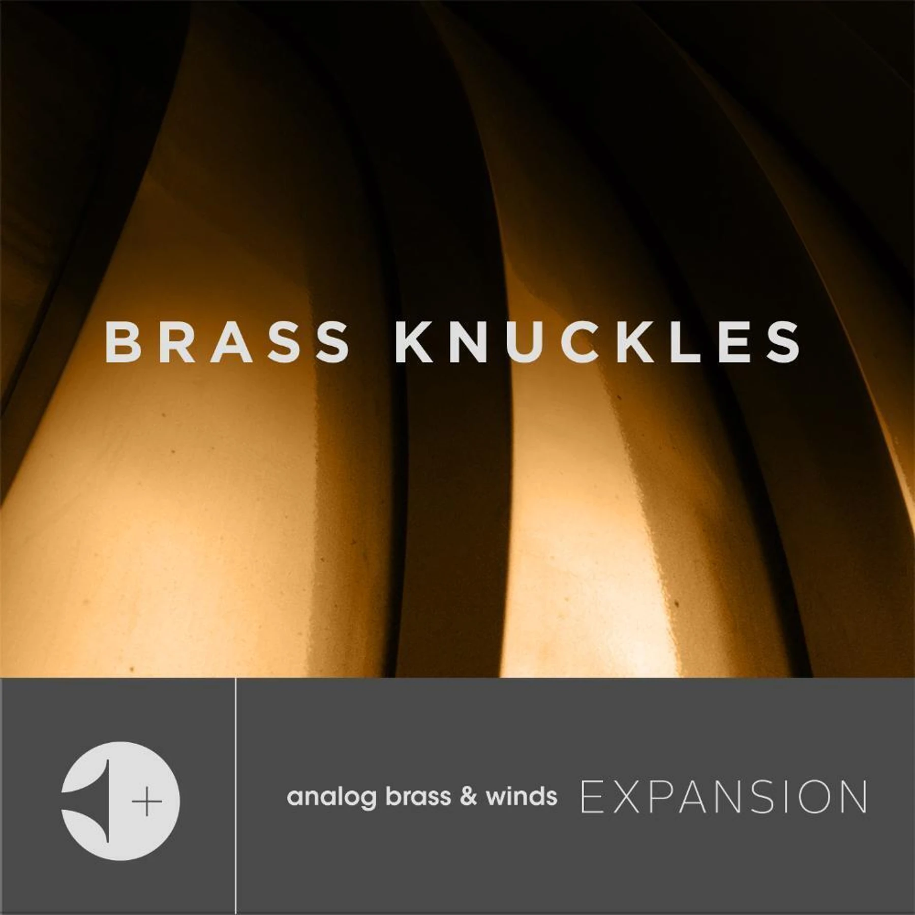 Output Brass Knuckles 扩展包，适用于 Analog Brass & Winds