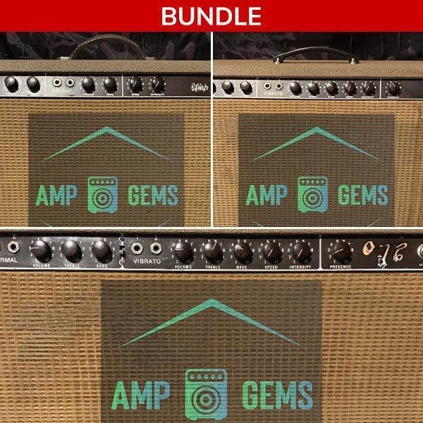 IK Multimedia TONEX 扩展包 - Amp Gems '60年代棕色面板套装