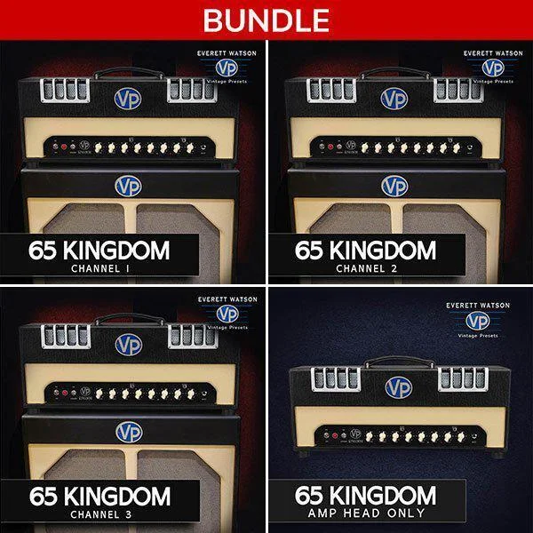 IK Multimedia TONEX EW 完整版 65 Kingdom
