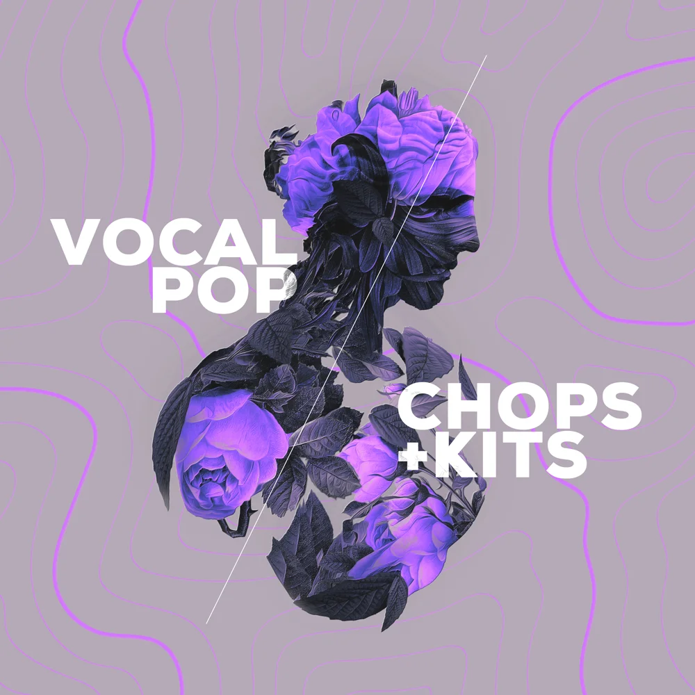 Audiomodern Vocal Pop Loopmix 扩展包