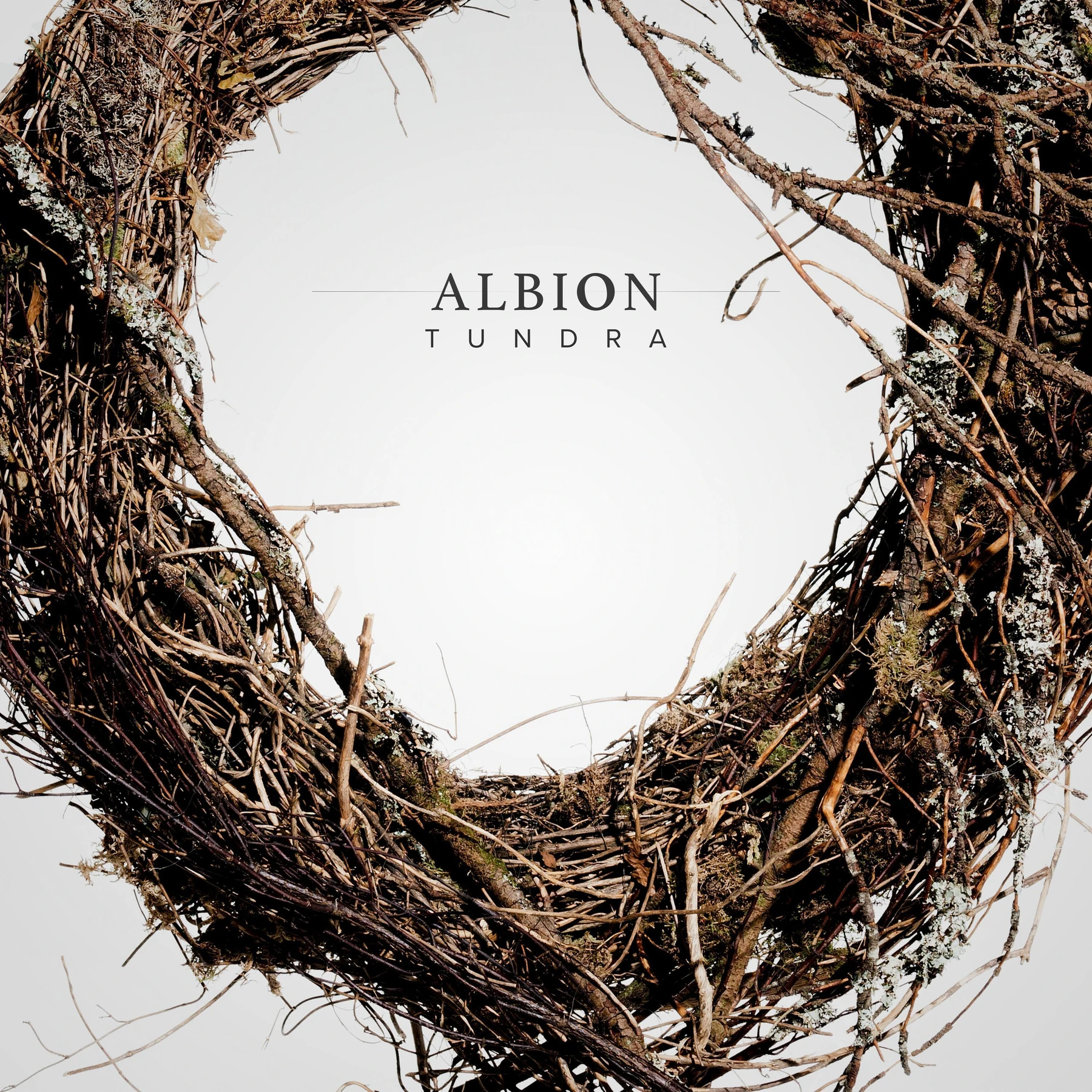 Spitfire Audio Albion Tundra 管弦乐采样库与电影配乐插件