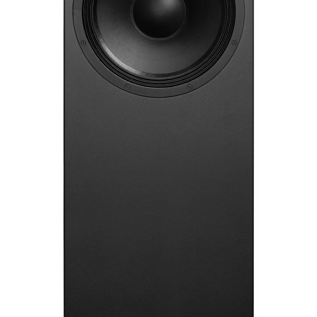真力 W371AP 自适应双低音单元系统