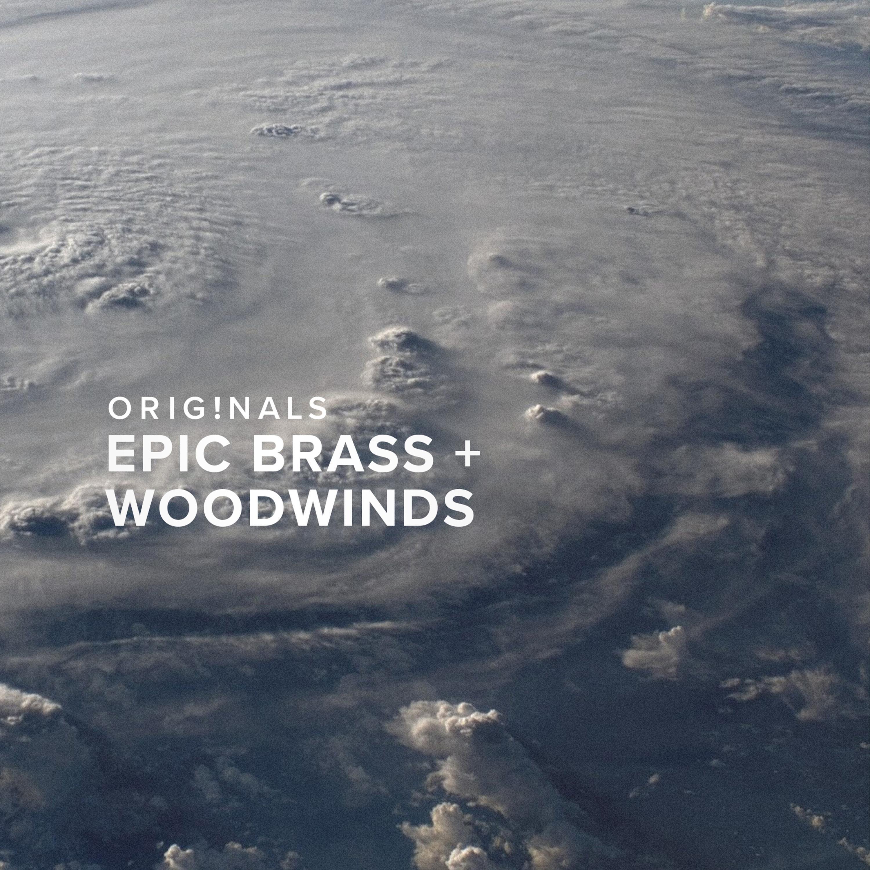 Spitfire Audio Originals Epic Brass and Woodwinds 插件