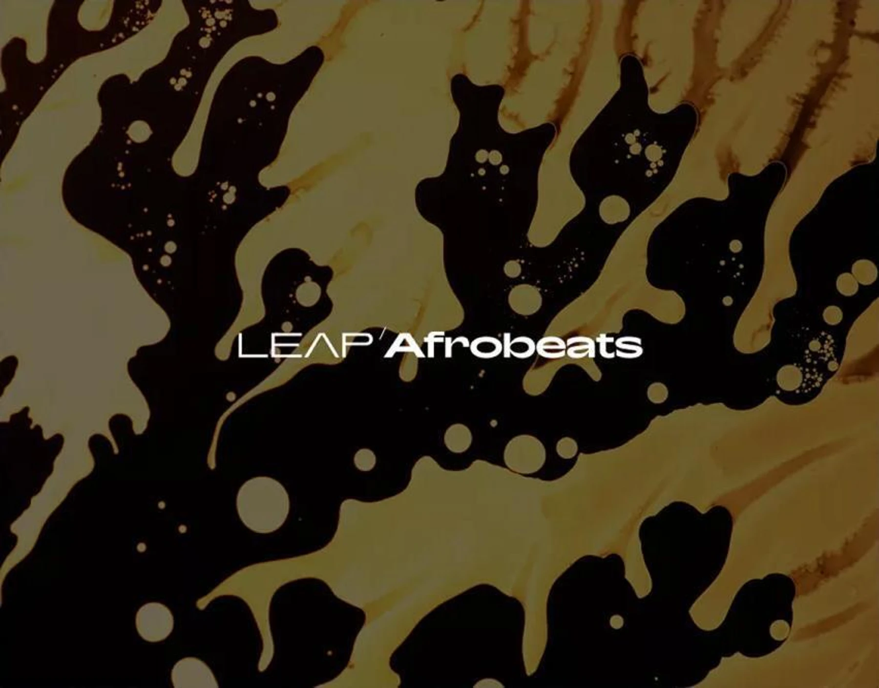 Native Instruments Afrobeats Leap 扩展包
