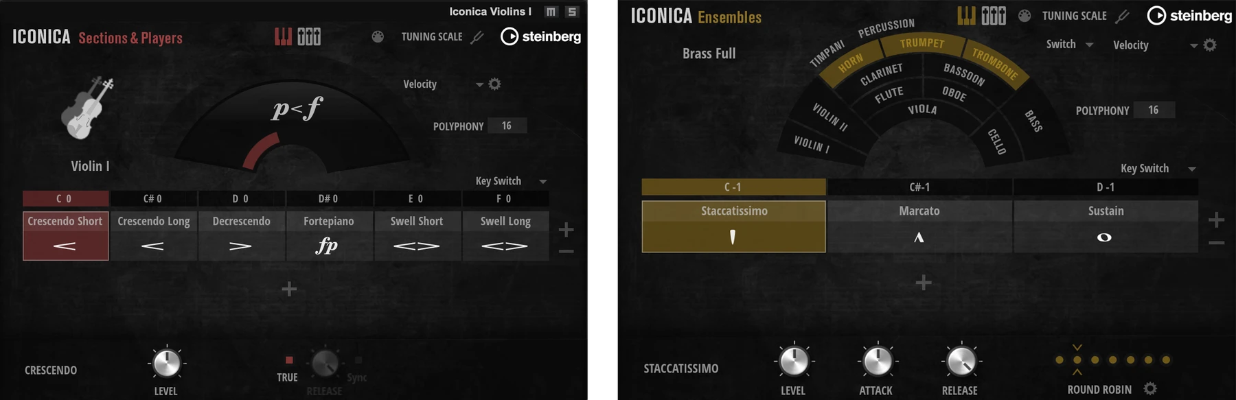 Steinberg Iconica Opus 虚拟乐器音色库