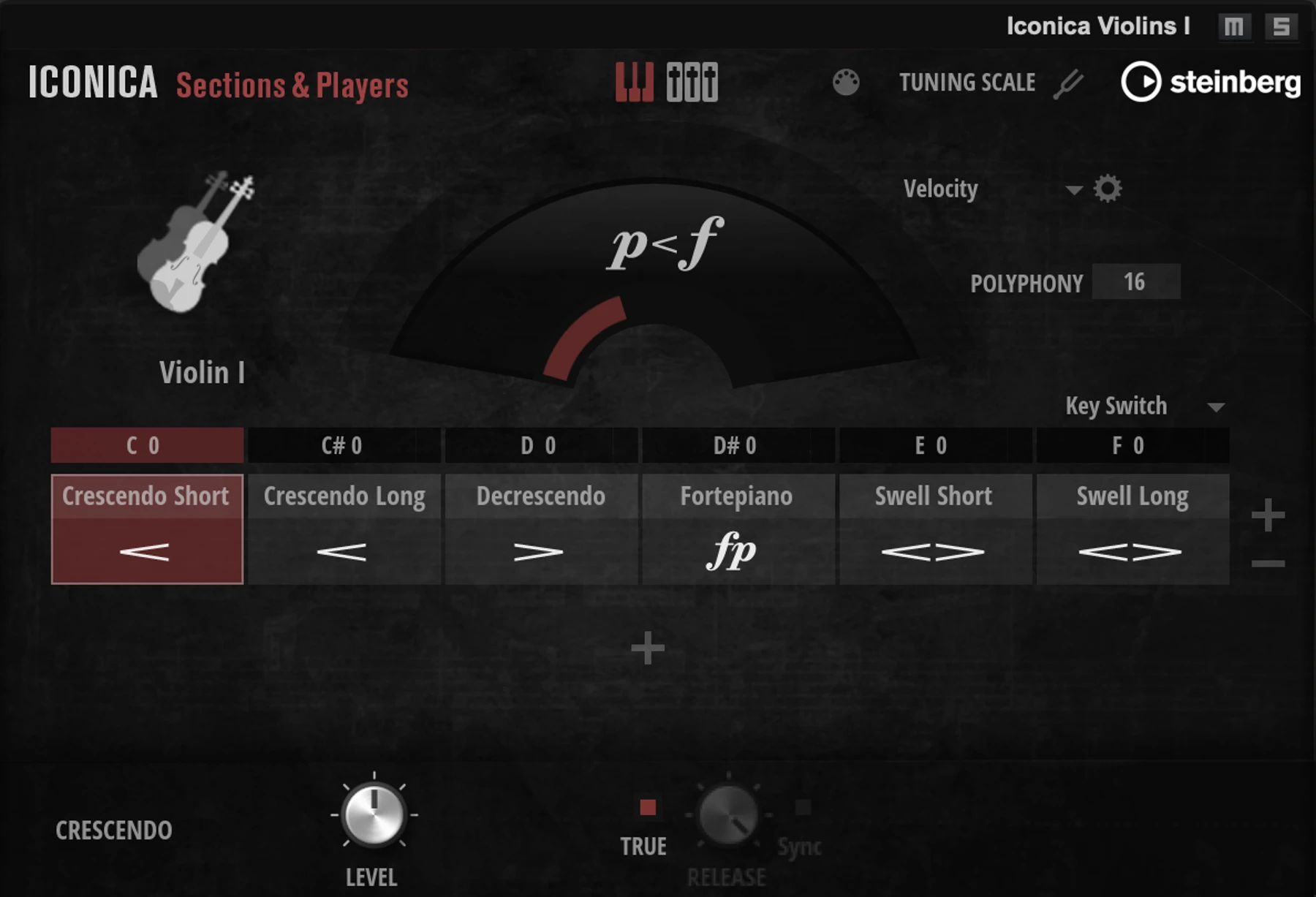 Steinberg Ionica Sections & Players 虚拟乐器音色库